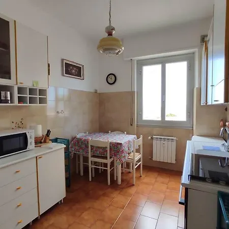 Vista Fara